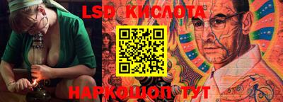 стафф Донской